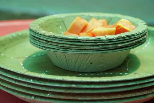 Green Leaf Plates And Bowls