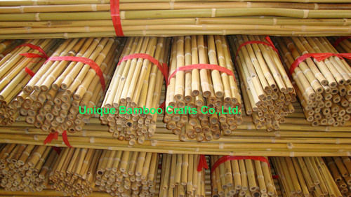 Garden Plant Supporting Use Fumigated Dry And Straight Bamboo Pole