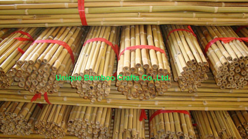 Natural Garden Plant Supporting Use Fumigated Dry And Straight Bamboo Pole