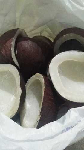 Medium Size Dried Coconut