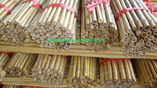 Plant Supporting Straight and Dry Quality Bamboo Pole