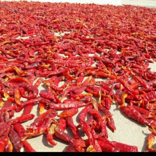 Dried Whole Red Chilli