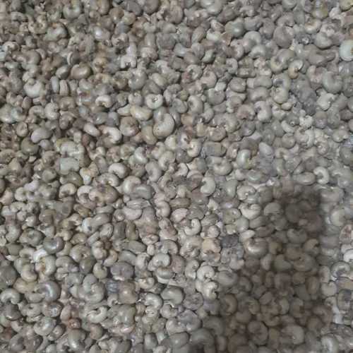 Common Best Price Raw Cashews