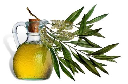 Herbal Tea Tree Oil