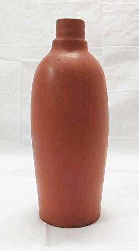 Aadiveda Terracotta Water Bottle