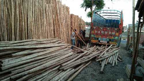 Lightweight Natural Nilgiri Wood Poles