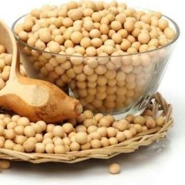 Soya Bean For Nutrition