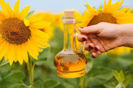 Sunflower Rosemary Herbal Oil