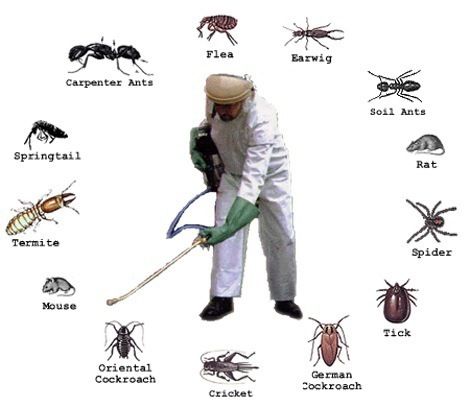 Pecopp Pest Control Services