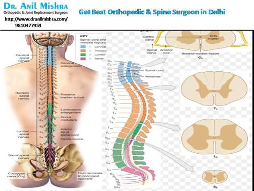 Spine Surgeon Consult Services