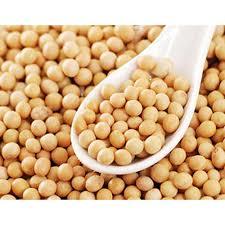 Gluten Free Soybean Seeds