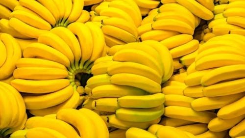 Common Indian Origin Yellow Banana