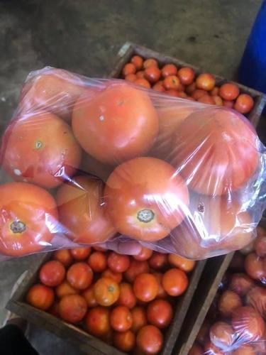 Fresh And Red Color Tomatoes