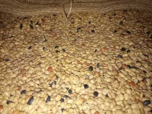 Organic Horse Gram (Kulthi)