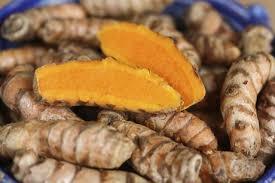 Fresh Yellow Raw Turmeric Finger