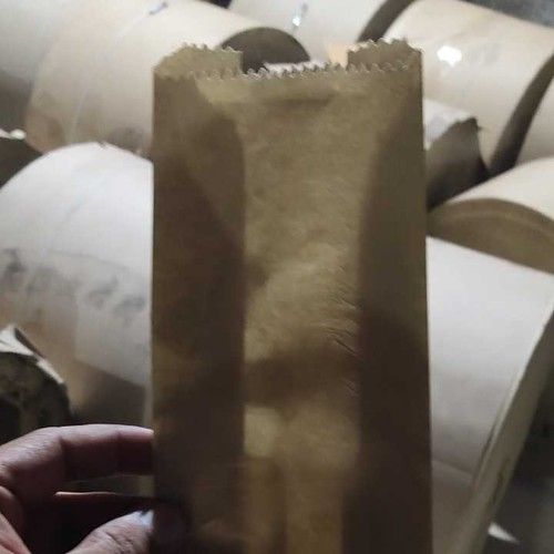 Brown Color Plain Paper Bags