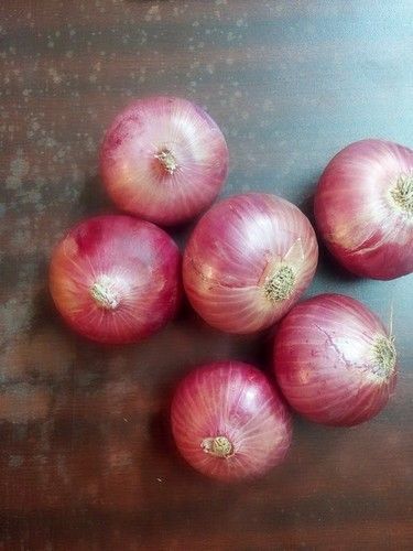 Round Farm Fresh Red Onion