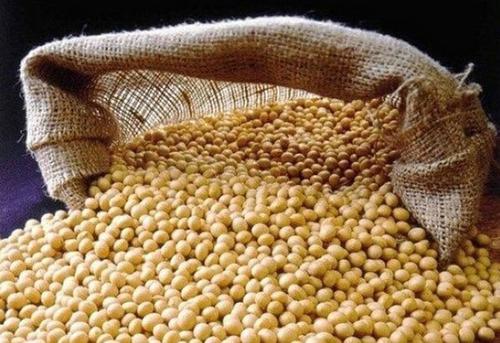 Dried Natural Taste Soya Beans