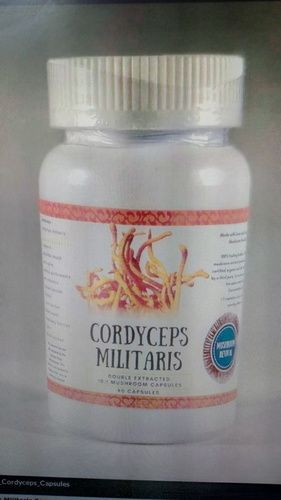 Ayurvedic Medicine Cordyceps Militaris Capsule