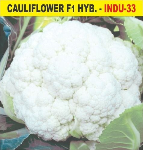 Natural F1 Hybrid Indu-33 Cauliflower Seed