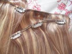 Clip and Hair Extension