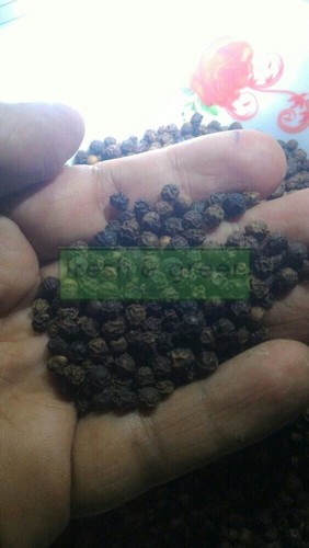 A Grade Black Pepper - Round Shape Grabled Color | 16 Months Shelf Life Quality Analyzed for Consistent Taste and Aroma