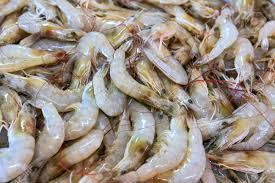 Fresh Prawns