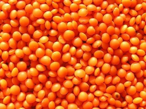 Red And Green Lentils Pulses