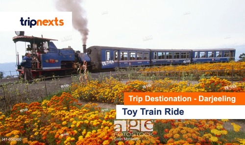 Toy Train Ride in Darjeeling Tour Service By Tour and Travel