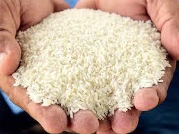 White Long Kolam Rice