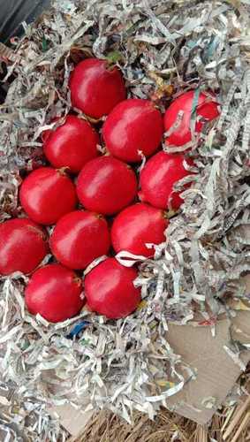 Indian Origin Red Pomegranates