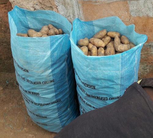 Organic Potato Farm Fresh