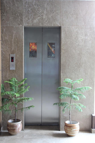 Efficient Automatic Elevator Door Load Capacity: 5000  Kilograms (kg)