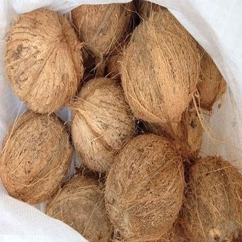 Fresh Brown Husked Coconut