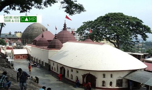 Kamakhya Temple Service