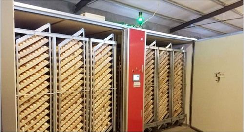 Steel Poultry Incubator 12 Trolleys With Brake