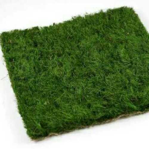 Premium Class Green Color Grass