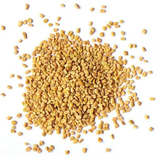 Fenugreek Seeds (Methi Seeds)