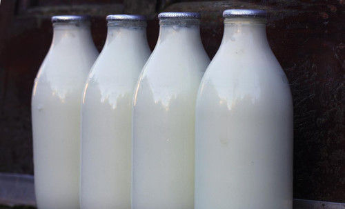 Fresh Milk In Bottle