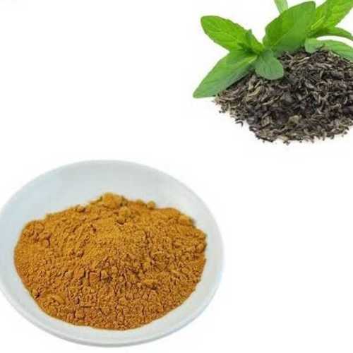 Light Brown And Black Green Tea Extract Powder