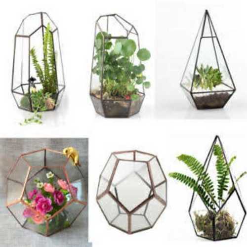 Geometrical Glass Terrarium For Garden
