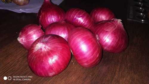 Red Color Fresh Onion Thickness: 0.4 To 6 Inch