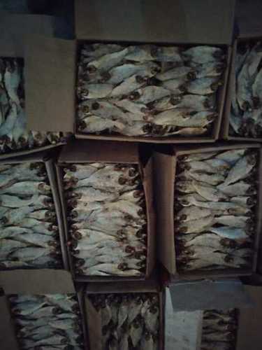 Dry Silver Croaker Fish