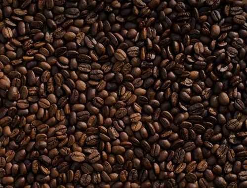 Organic Shubhaam Original Coffee Beans