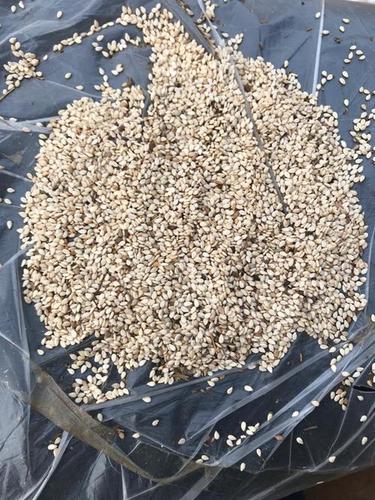 Golden Fresh Sesame Seeds Admixture (%): 1