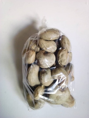 White Natural Dried Cashew Nut