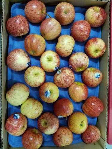 Newzealand Red Gala Apple