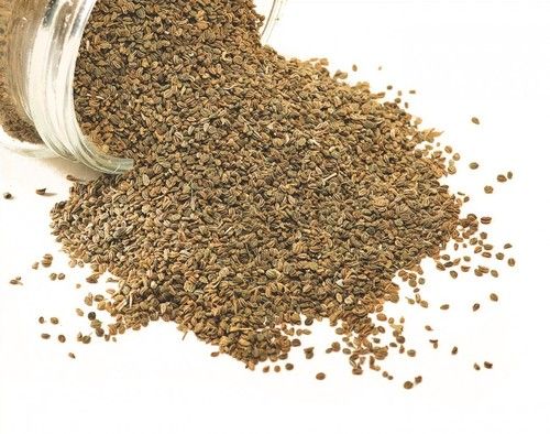 Ajwain Essential Oil