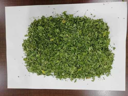 Hygienically Processed Moringa Oleifera