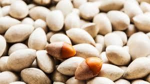 Natural Fresh Ginkgo Nuts